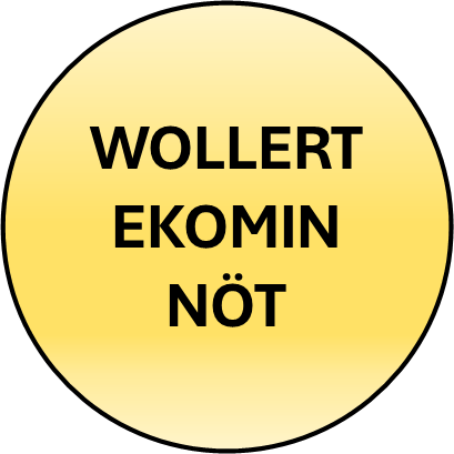 KNAPP PROVISORISK EKOMIN NÖT