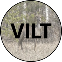 KNAPP VILT