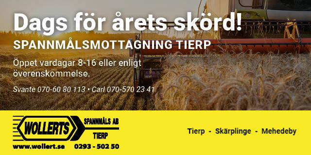 1353745_AD-065421-0001_Displaymix_640x320